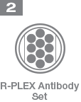 Step 2 R-Plex Antibody Set